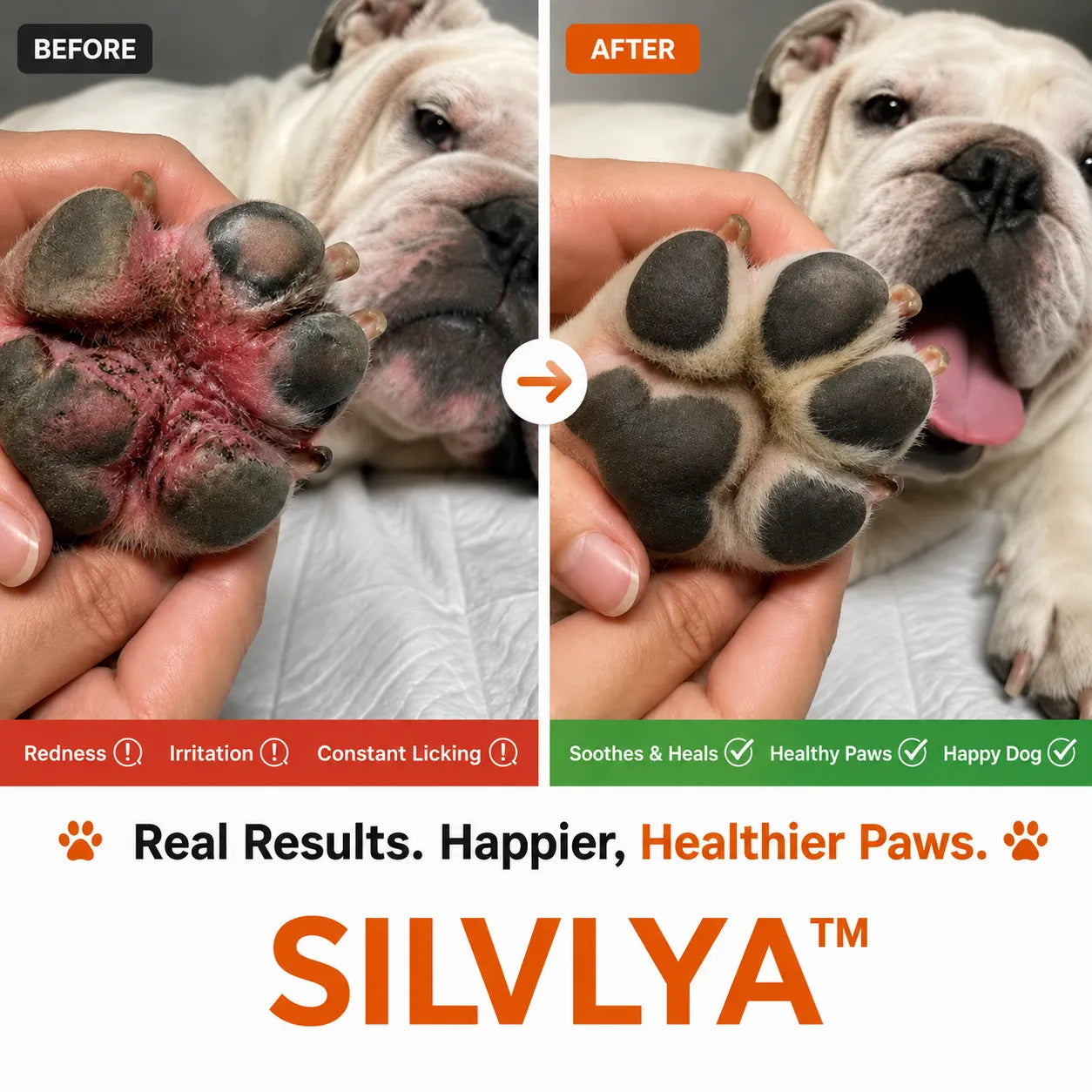 SILVLYA™ Probiotic Paw Spray