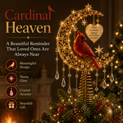 🎄Meaningful Christmas Tree Topper Silvlya™ – Lighted Holiday Keepsakes